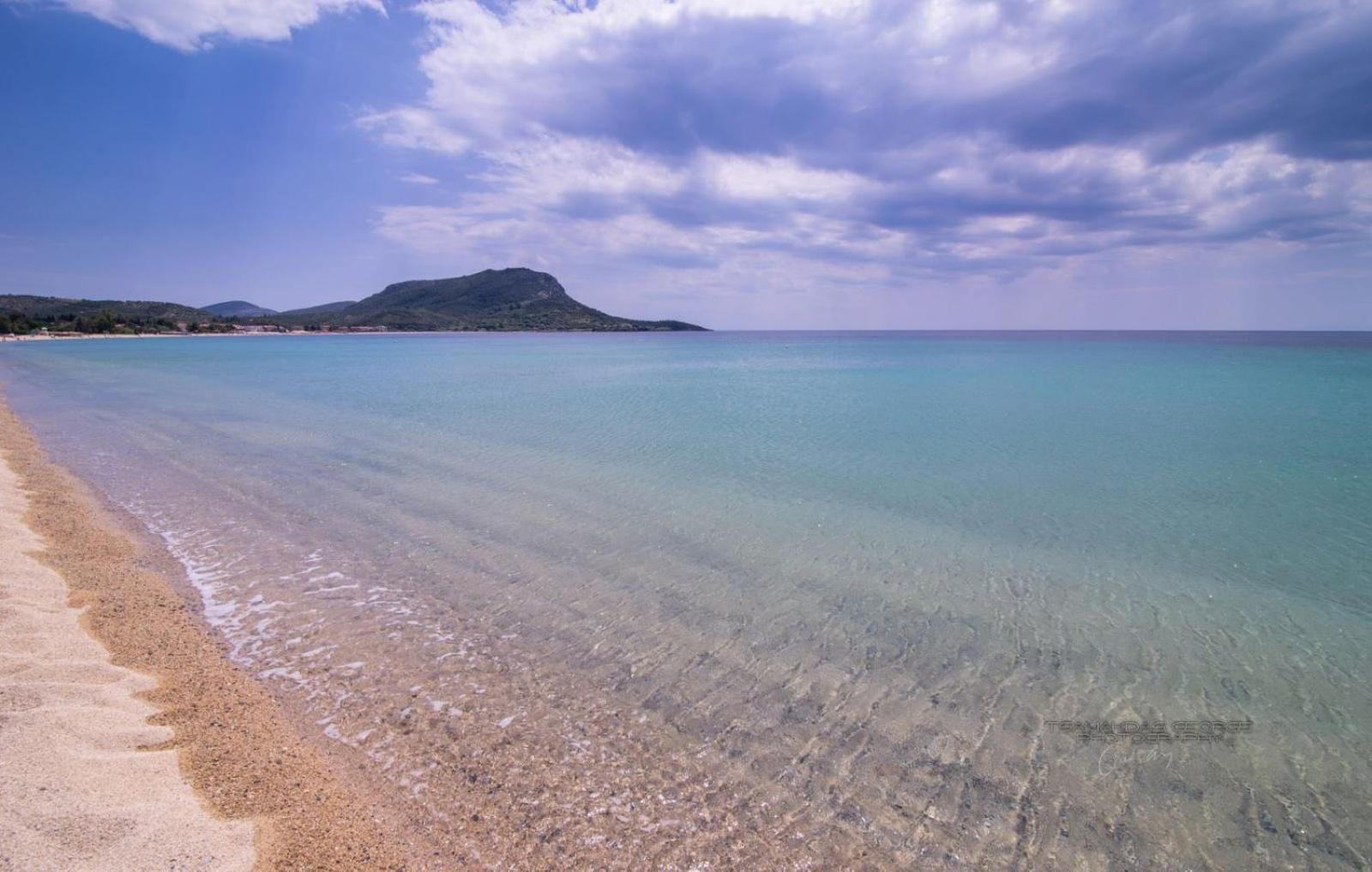 Amadeus Golden Τορώνη