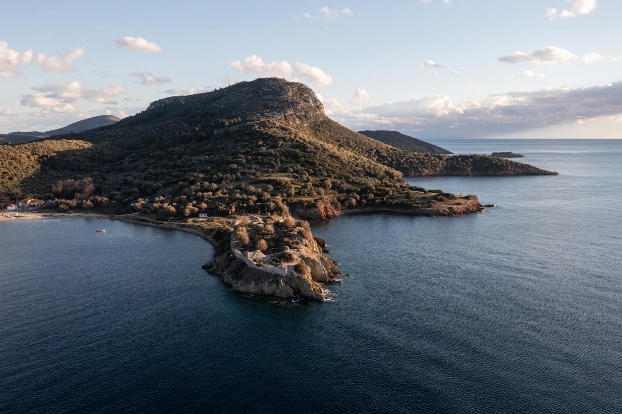 Amadeus Golden Τορώνη